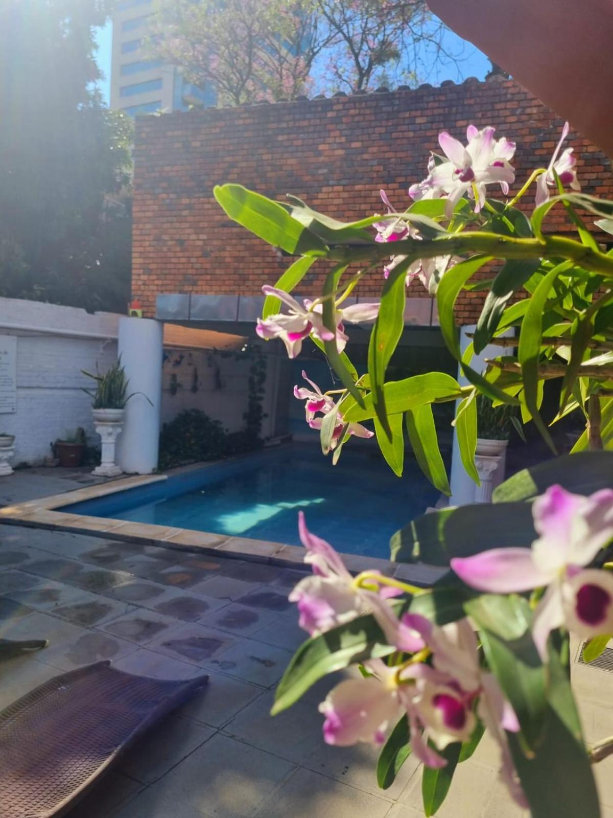Hotel Hassler Asuncion Ngoại thất bức ảnh